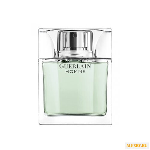 Guerlain Guerlain Homme Eau de