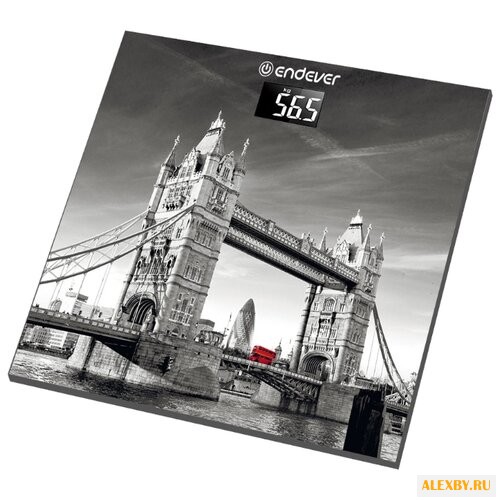 Весы ENDEVER FS-541