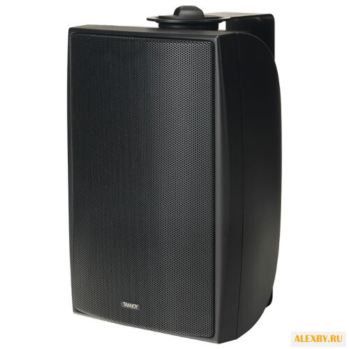 Акустическая система Tannoy DVS