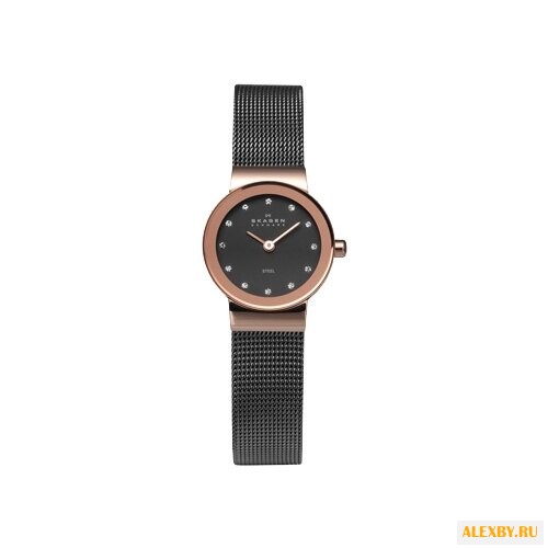 Наручные часы SKAGEN 358XSRM