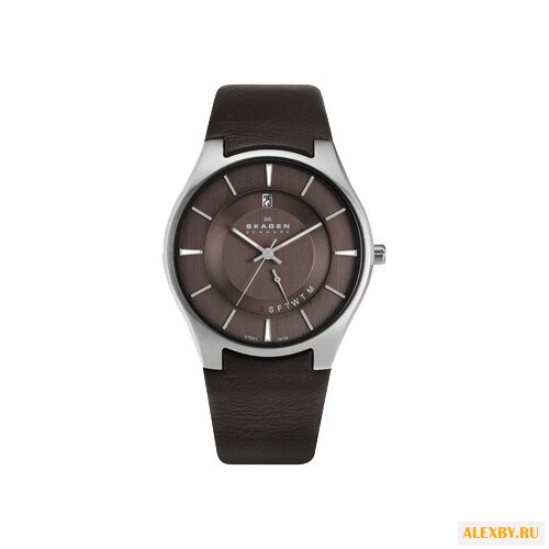 Наручные часы SKAGEN 989XLSLD