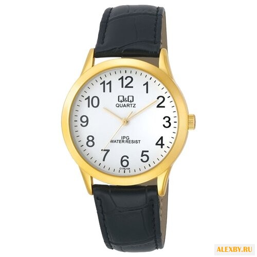 Наручные часы Q&Q C178-104