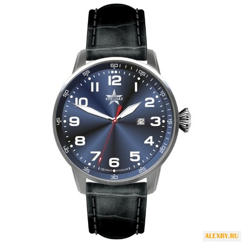 Наручные часы СПЕЦНАЗ С2871330-05