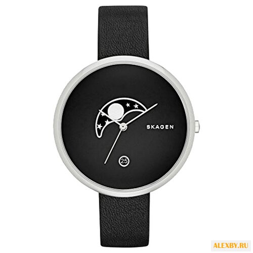 Наручные часы SKAGEN SKW2372