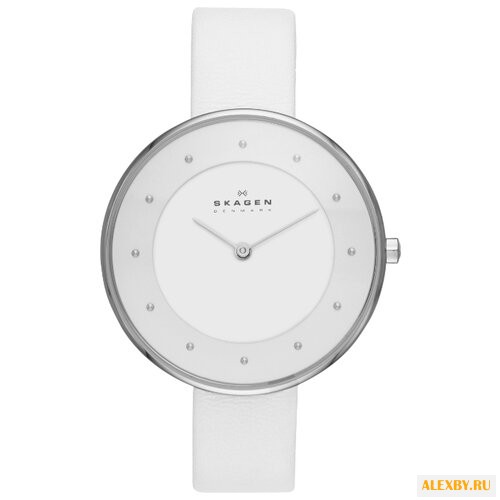 Наручные часы SKAGEN SKW2136