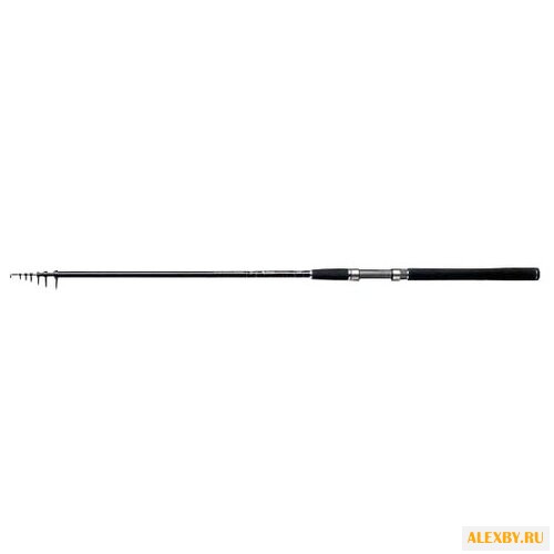 Удилище спиннинговое DAIWA