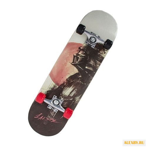 Скейтборд Larsen Park 1