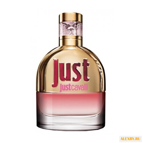 Roberto Cavalli Just Cavalli