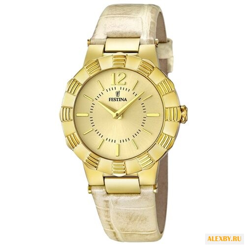 Наручные часы FESTINA F16735 2