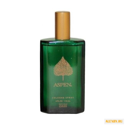 Coty Aspen For Men