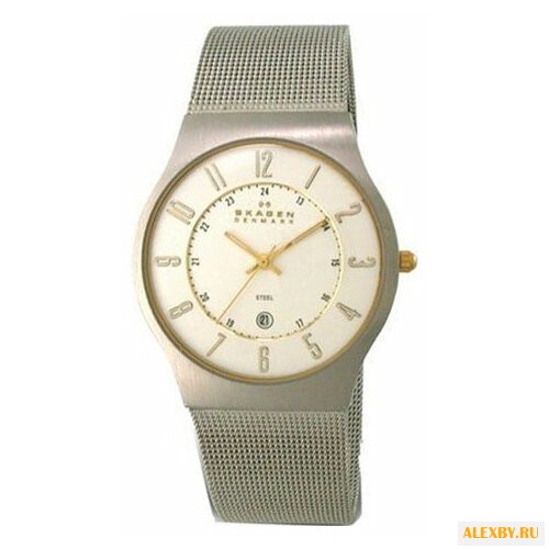 Наручные часы SKAGEN 233XLSGS