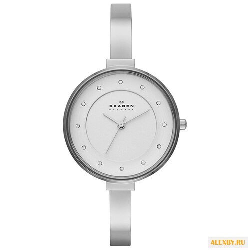 Наручные часы SKAGEN SKW2228