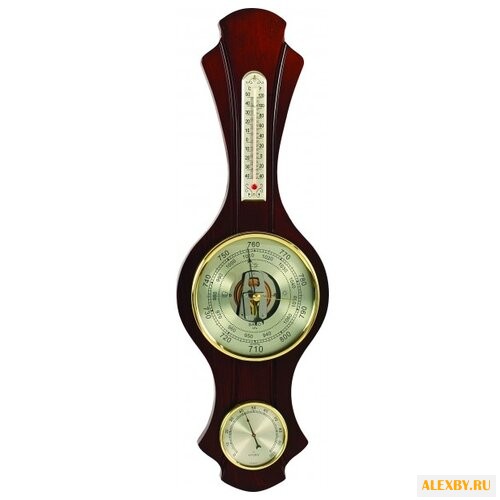 Метеостанция БРИГ+ М-79 с