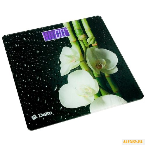 Весы DELTA D-9219