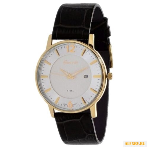 Наручные часы Guardo S9306.6
