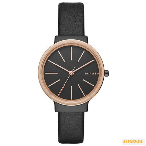 Наручные часы SKAGEN SKW2480