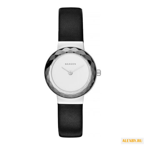 Наручные часы SKAGEN SKW2428