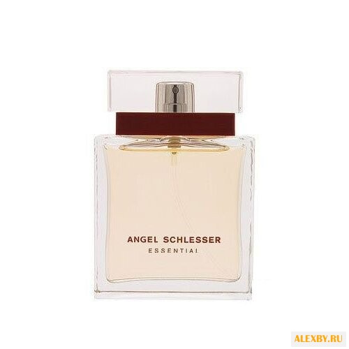 Angel Schlesser Essential for