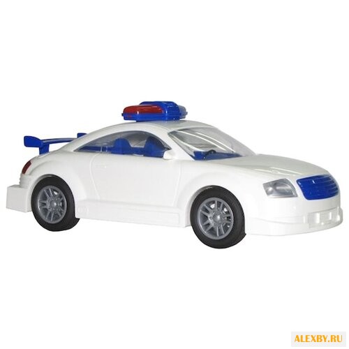 Легковой автомобиль Полесье ДПС