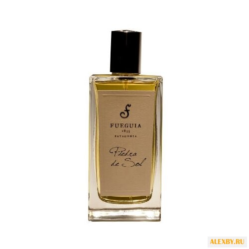 Fueguia 1833 Piedra de Sol