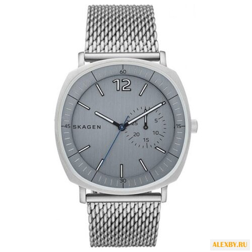 Наручные часы SKAGEN SKW6255