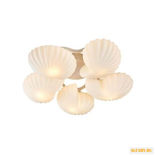 ST Luce Conglia SL534.502.05