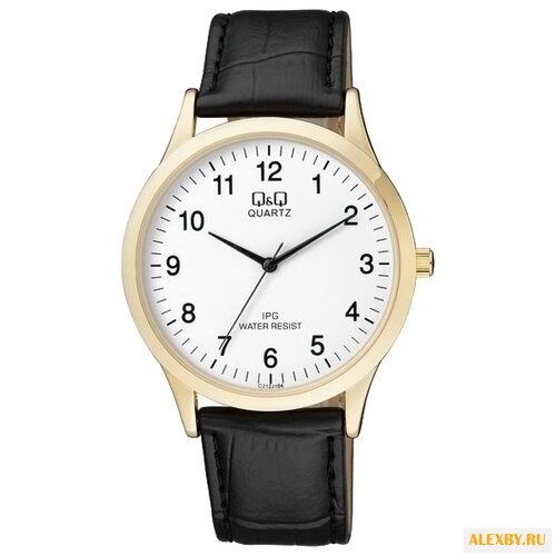 Наручные часы Q&Q C212-104