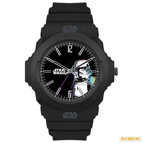 Наручные часы Нестеров SW60205ST