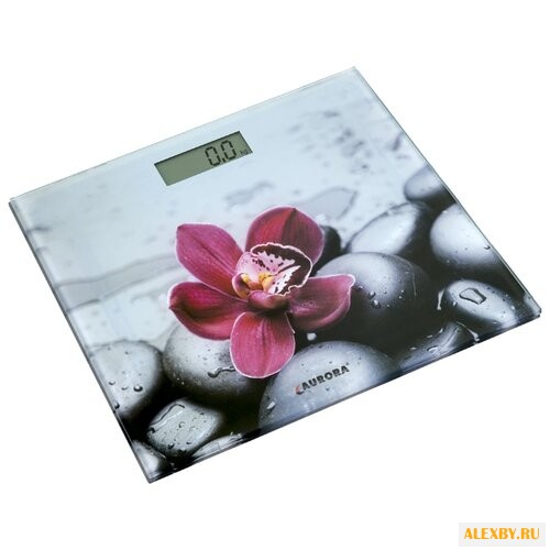 Весы AURORA AU 4306