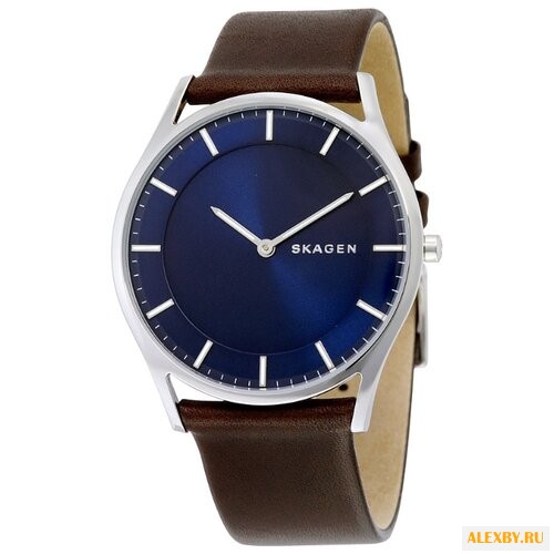 Наручные часы SKAGEN SKW6237