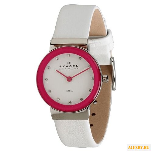 Наручные часы SKAGEN SKW2016