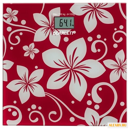 Весы Scarlett SC-BS33E088