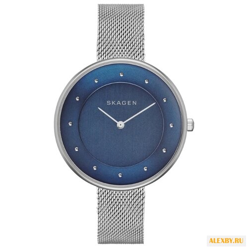 Наручные часы SKAGEN SKW2293