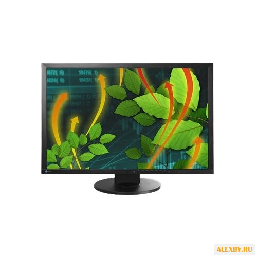 Монитор Eizo FlexScan EV2416W