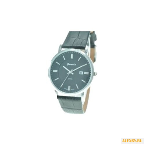 Наручные часы Guardo S0478A.1