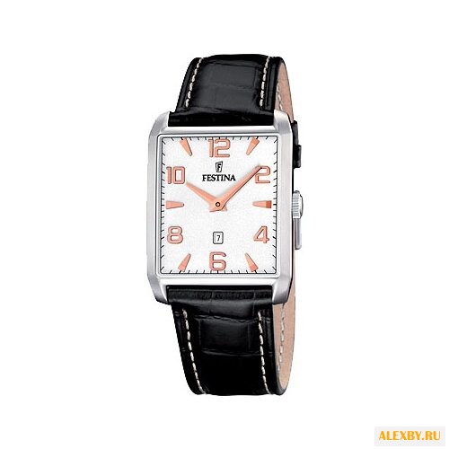 Наручные часы FESTINA F16514 6