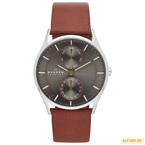 Наручные часы SKAGEN SKW6086
