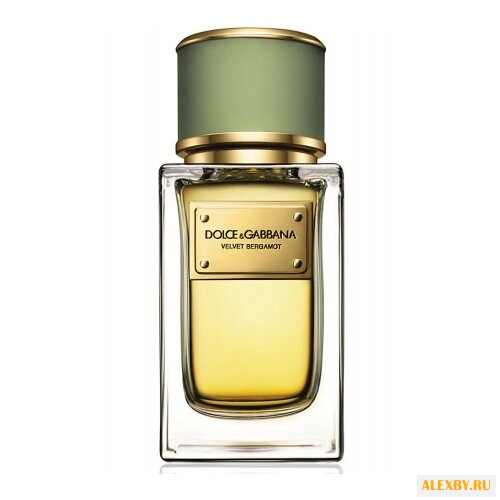 DOLCE & GABBANA Velvet Bergamot