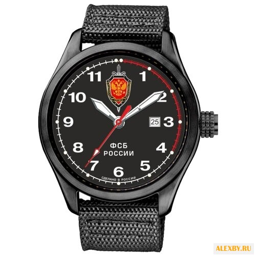 Наручные часы СПЕЦНАЗ С2864324-09