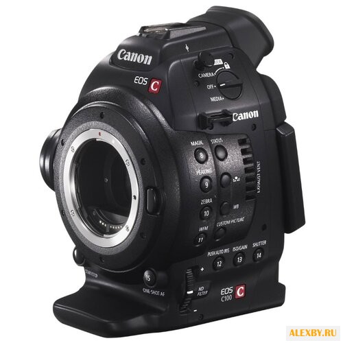 Видеокамера Canon EOS C100