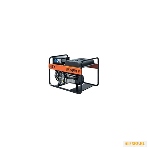 Бензиновая электростанция RID