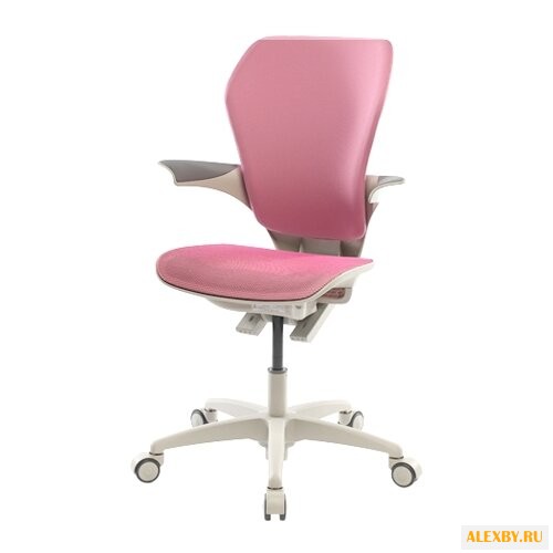 Компьютерное кресло DUOREST