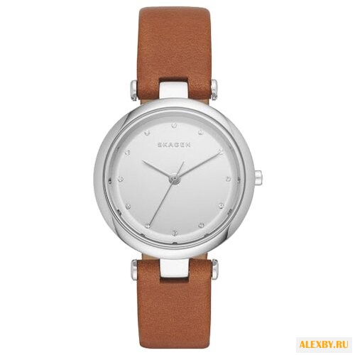 Наручные часы SKAGEN SKW2458