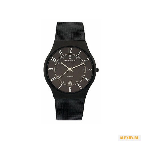 Наручные часы SKAGEN 233XLTMB