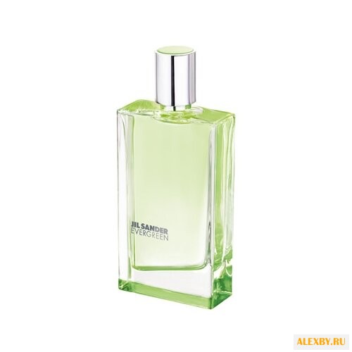 Jil Sander Evergreen