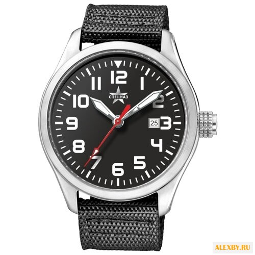 Наручные часы СПЕЦНАЗ С2861315-09