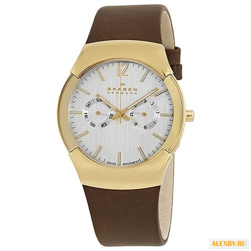 Наручные часы SKAGEN 583XLGLD
