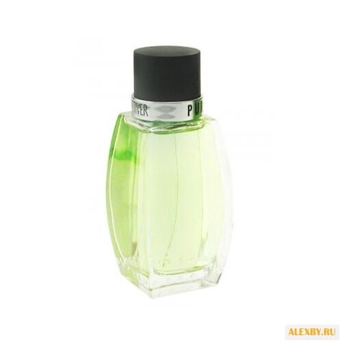 Azzaro Pure Vetiver