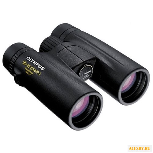 Купить Бинокль Olympus 10x42 EXWP I