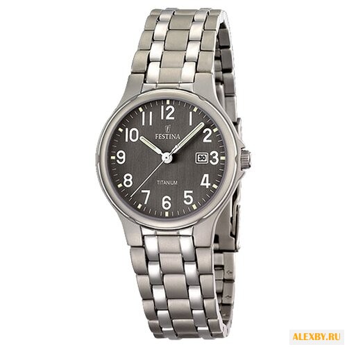Наручные часы FESTINA F16461 2
